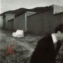 이문세 이소라 / 슬픈 사랑의 노래 (남 Em) mr 이미지