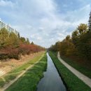 신트리약국 이미지