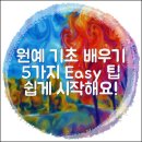 나만의 작은 정원 수경재배 힐링원예 | 원예 기초 배우기: 쉽게 시작하는 5가지 팁