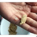 신촌낚시터 이미지