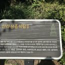 부암동돈가스집1979