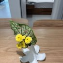 새천지약국 | 마운자로 2.5mg 두달 감량 후기, 천천히 -7kg