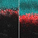 (주)신호전자 이미지