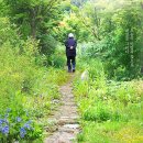 쓰는 시(Poetry on Land, 2024) 영화 정보, 시사회 후기ː자연과 건축, 인간의 조화로움을 담은 조경 철학