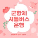 [울산출발 원데이투어] 4월1일(토) 인스타 핫플레이스 투어 진해 군항제 셔틀버스 운행 이미지