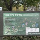 화개악양농협주유소 | [경남 하동 가볼만한 곳] 1박2일 코스 추천 쌍계사 화개장터 티카페하동 하동야생차문화센터