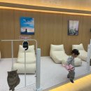 캣플헤븐 AK플라자금정점 이미지