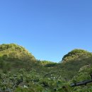 봉우리농장 이미지