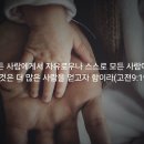 못생긴 과일 전도법 이미지