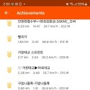 일품세꼬시 네이버블로그