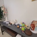 클리니스킨 이미지