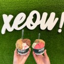 27200-마-30 | [공지] 3️⃣ 산티아고 프랑스길 알베르게 후기 및 추천 (25.10 ver) | 폰페라다~산티아고