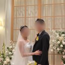 샌더소니아 - 춘천시 남춘로5번길 28-6 | [화니플로르] 호접 샌더소니아 부케 신부 대기실 스냅 촬영 후기!