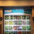 향기나는터 이미지