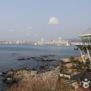 해운대 관광특구 Daum카페