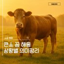 하얀소