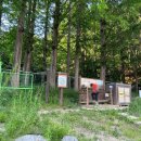 대덕초교도룡분교장 이미지