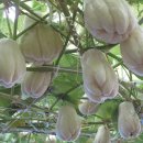 오티농장 이미지