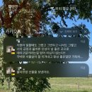 응봉농장 | 근황 몰아쓰기