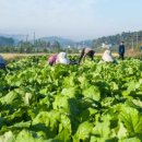 (주)남원추어탕 이미지