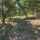 연풍공인중개사사무소 이미지