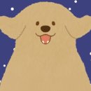 설구하우스 이미지