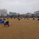 대조축구회 2023년 시무식 후기 은평구 조기축구 서로이웃 환영