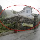 탄벌동-8 이미지