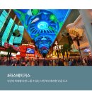블랙베어투어 이미지
