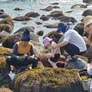 자장자장민박 이미지