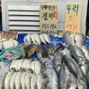 남해-225 이미지