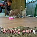 인종농장 이미지