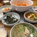 본동복어 이미지