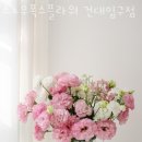 스노우폭스플라워 이미지