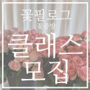필로그 이미지