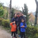 예서, 이재 가족 숲 나들이 사진 입니다 이미지