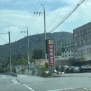 UNTOLD(언톨드) | 언톨드_UNTOLD : 용인 애견동반 가능한 대형카페 후기