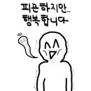 국수파동 - 수원시 장안구 정자천로173번길 11-13 | 국수파동