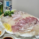[대풍수산] 모둠회 구성이 알찬 가락시장 횟집 후기 (feat.대방어, 대광어, 참돔)