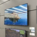 성지세탁 | 신혼 가전 천만원 도전기｜삼성스토어, 비대면 성지, 백화점 7곳상담 후기