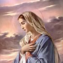 8월18일(火) 聖女헬레나, 聖아가피토님 등.. 이미지