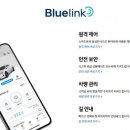 블루일 이미지