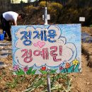 안양농장 이미지