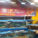 사랑수산 네이버블로그