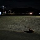 달봉이민박 이미지