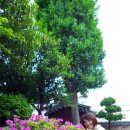 동래시장 송공단 옆 이미지