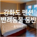 동막여관 | 인천 강화도 반려동물 동반 펜션 [동막여관] 내돈내산 후기