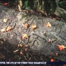 김동우농장 이미지