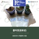 씨엔에이바이오텍(주)