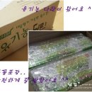 한농계란